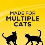 Tidy Cats Free & Clean Cat Litter, LightWeight Unscented Multi-Cat - 5.44 kg Box - Image 5