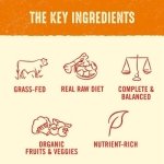 Stella & Chewy’s Freeze Dried Raw Dinner Patties – Grain Free Dog Food, Protein Rich Stella’s Super Beef Recipe – 156g Bag - Image 8