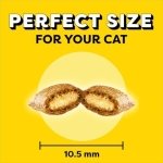 TEMPTATIONS Mix-Ups Cat Treats, (Chicken, Turkey & Beef Flavour), 454g Tub - Image 5