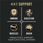 Purina Pro Plan Vital Systems Dry Cat Food, Chicken & Egg - 1.36 kg Bag - Image 8