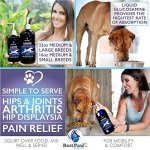 Best Paw Nutrition - Bacon Flavor Liquid Glucosamine for Dogs & Cats - Joint Supplement for Hip & Joint Pain Relief Pets Love - 32oz - Image 6