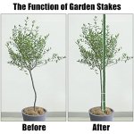 FEED GARDEN Garden Stakes 36 Inch 3ft 25 Pack, Sturdy Plant Metal Sticks Support, Plastic Coated Plant Stakes, Tomato Stakes, Beans, Trees - Image 2