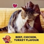 TEMPTATIONS Mix-Ups Cat Treats, (Chicken, Turkey & Beef Flavour), 454g Tub - Image 10