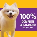 PEDIGREE Tender Bites Small Dog Dry Dog Food Chicken & Steak Flavour 2kg Bag - Image 7