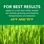 Scotts Turf Builder Weed & Feed3, 14.29 lbs. - Image 8