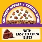 PEDIGREE Tender Bites Small Dog Dry Dog Food Chicken & Steak Flavour 2kg Bag - Image 6