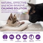 TopSum Cat Calming Diffuser Refills: Cat Pheromones Calming Diffuser Refills - Premium Cat Calming Diffuser Refills - Cat Pheromones 4-Month-Supply, Cat Anxiety Relief, 4 Pack (Transparent) - Image 9