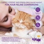 TopSum Cat Calming Diffuser Refills: Cat Pheromones Calming Diffuser Refills - Premium Cat Calming Diffuser Refills - Cat Pheromones 4-Month-Supply, Cat Anxiety Relief, 4 Pack (Transparent) - Image 8