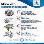Omega 3 Fish Oil for Dogs - Better Than Salmon Oil for Dogs - Dog Fish Oil Supplement - Reduce Shedding & Itching - Supports Joints, Brain, Heart Health- Dog Skin and Coat Supplement - Fish Oil Liquid - Image 4