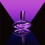 Calvin Klein Euphoria Bold Elixir Parfum Intense worn by Rosalia– Ambery Perfume for Women – With Jasmine, Smoky Orchid, Vanilla & Oakwood – Long-Lasting Fragrance - Image 6
