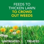 Scotts Turf Builder Weed & Feed3, 14.29 lbs. - Image 11