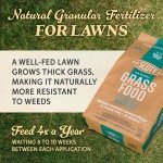 O.M. Scott & Sons Natural Grass Food, 12.72 lbs. - Image 2